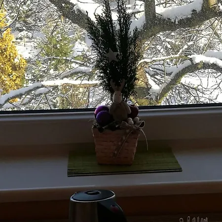Хостел Green House